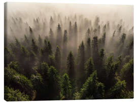 Canvas print The army of firs