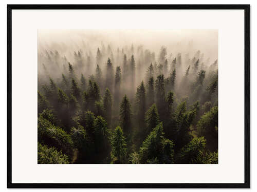 Framed art print The army of firs