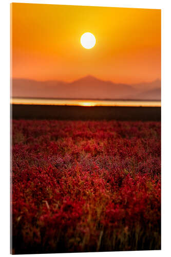 Obraz na szkle akrylowym Sunset