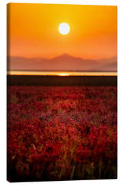 Tableau sur toile Sunset