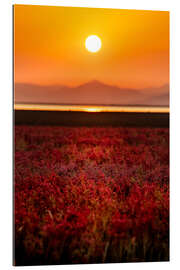 Tableau en plexi-alu Sunset