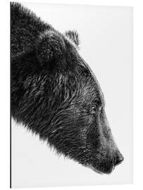 Magnettafel The salmon catcher