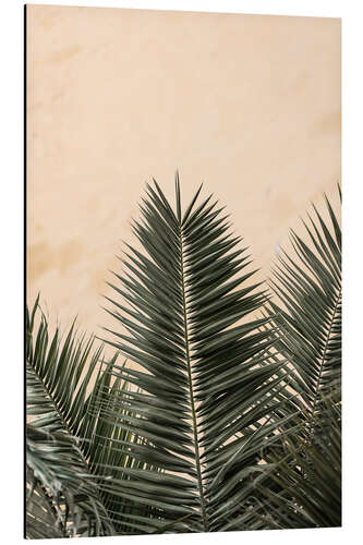 Alubild Palm leaves and wall °1