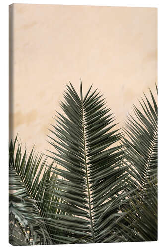 Canvas print Palm leaves and wall °1