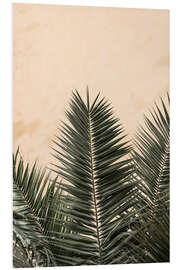 Foam board print Palm leaves and wall °1