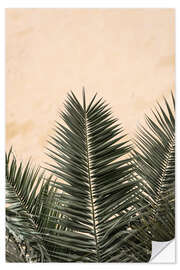 Wall sticker Palm leaves and wall °1