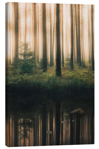 Canvas print Reflection in the foggy forest