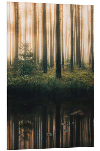 Tableau en PVC Reflection in the foggy forest