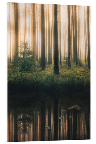 Gallery print Reflection in the foggy forest