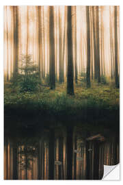 Wall sticker Reflection in the foggy forest