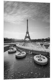 Stampa su PVC Jardins du Trocadéro and Eiffel Tower in winter