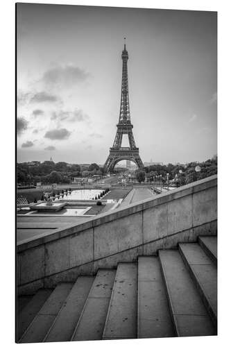 Aluminium print Jardins du Trocadéro and Eiffel Tower, black and white