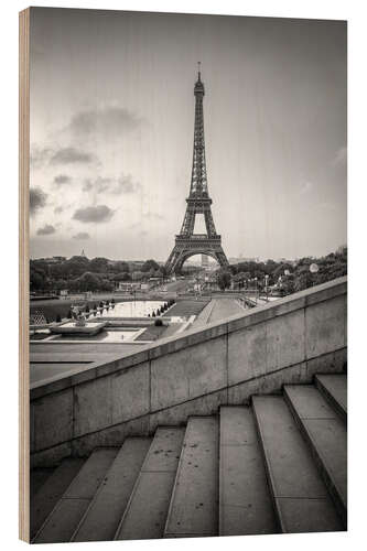 Wood print Jardins du Trocadéro and Eiffel Tower, black and white