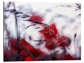 Magnettafel Sommerwiese