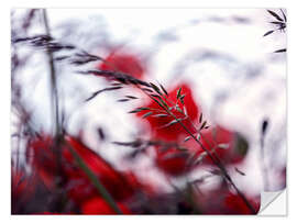 Wall sticker Summer Meadow