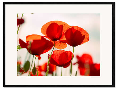Kehystetty taidepainatus Summer Poppy Meadow