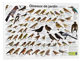 Tableau en PVC Oiseaux de jardin