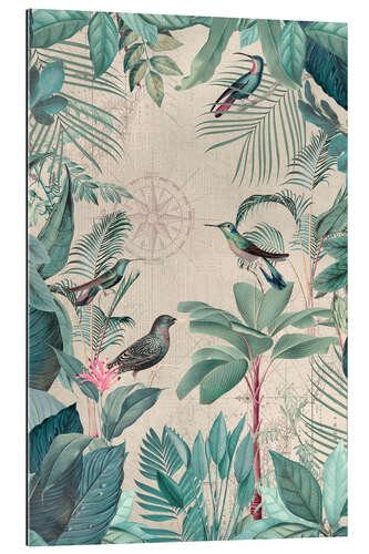 Gallery print Travel of the tropical birds