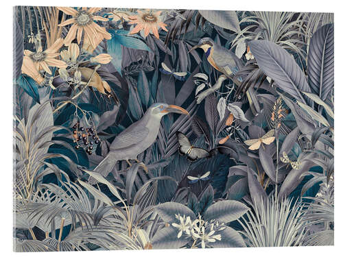 Acrylic print Midnight with the jungle birds