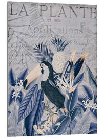 Magnettafel Tukan im Tropenparadies