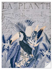 Wandsticker Tukan im Tropenparadies