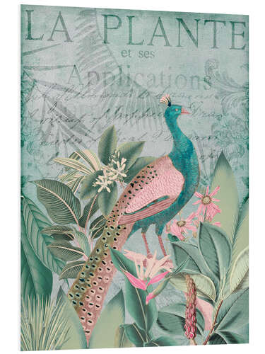 Foam board print Peacock in the tropical paradise