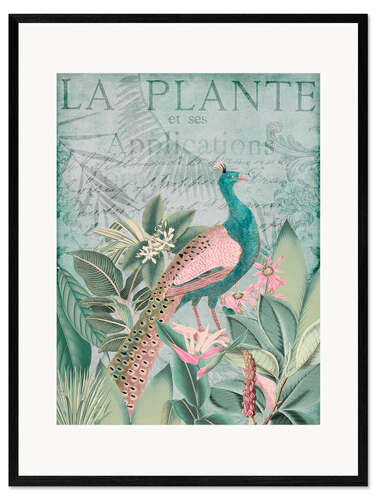 Impression artistique encadrée Peacock in the tropical paradise