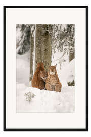 Gerahmter Kunstdruck Drei Luchse im hohen Schnee