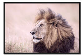 Gerahmter Kunstdruck Der König der Löwen