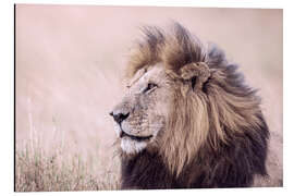 Magnettafel Der König der Löwen