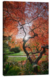 Canvas print Evening light in the Japanese garden