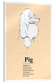 Quadro em plexi-alumínio Pig Definition