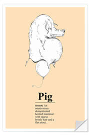 Selvklebende plakat Pig Definition