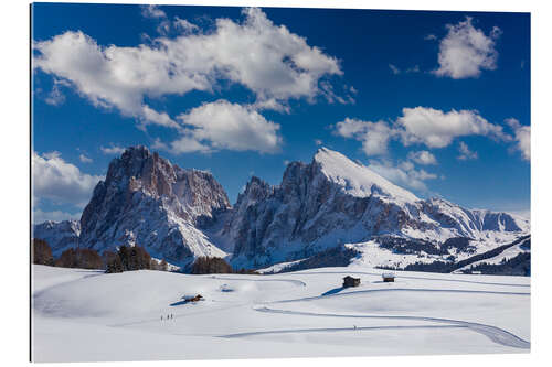 Gallery Print Winter auf der Seiser Alm mit Blick auf Langkofel und Plattkofel