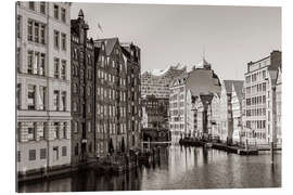 Cuadro de plexi-alu Nikolaifleet and Elbphilharmonie in Hamburg