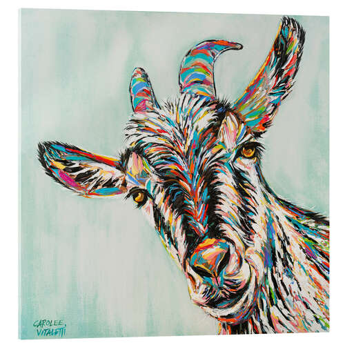 Acrylic print Funny Goat I