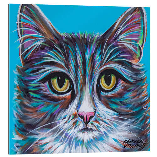 Quadro em plexi-alumínio Pastel Cats I