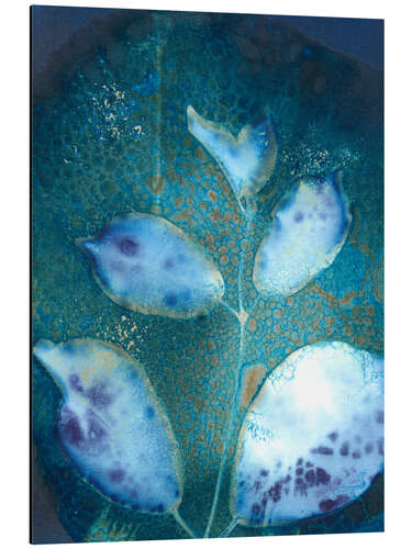 Aluminium print Cyanotype Leaves III