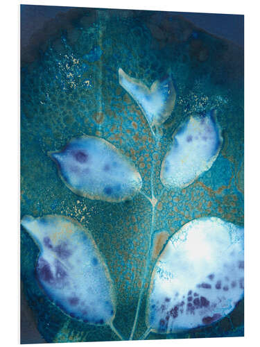 Foam board print Cyanotype Leaves III