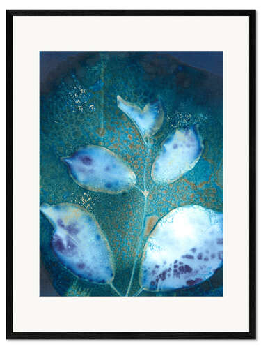 Kunsttryk i ramme Cyanotype Leaves III