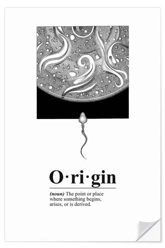 Muursticker Origin Definition