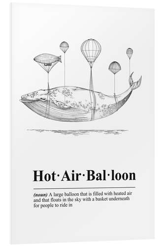 Tableau en PVC Hot Air Balloon Definition