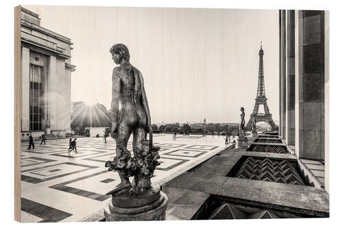 Obraz na drewnie Place du Trocadéro in Paris