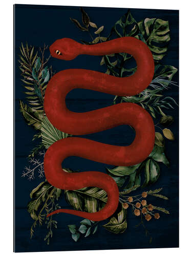 Gallery print The Red Snake