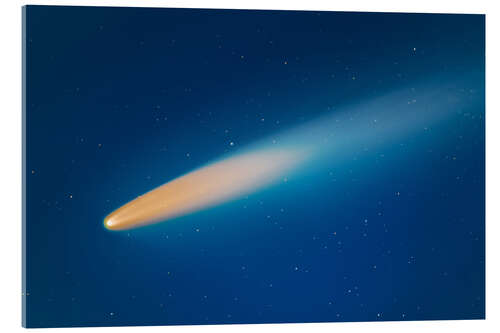 Quadro em acrílico Comet Neowise