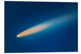 PVC print Comet Neowise