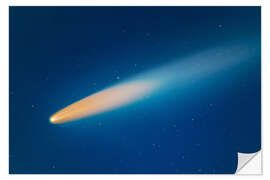 Wall sticker Comet Neowise