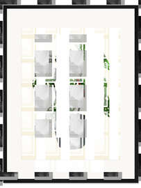 Gerahmter Kunstdruck Begonia Maculata Pflanze