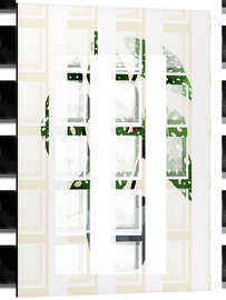 Magnettafel Begonia Maculata Pflanze