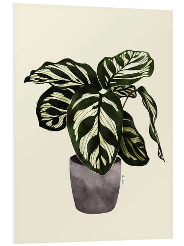 Print på skumplade Calathea plant